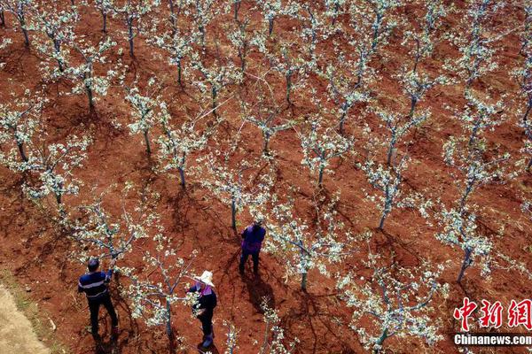 国际市场份额总体稳定 中国连续7年保持货物贸易第一大国地位