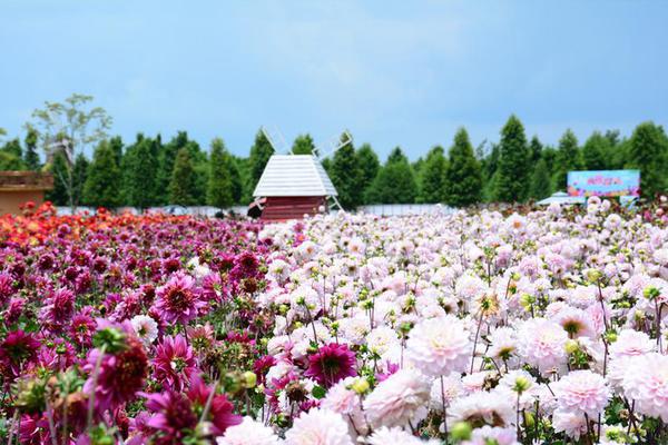 李冰冰生日发长文感慨：每一天的实在和真实更重要