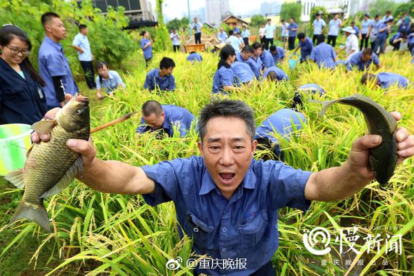 终于来了！许鞍华《第一炉香》定档10月22日上映