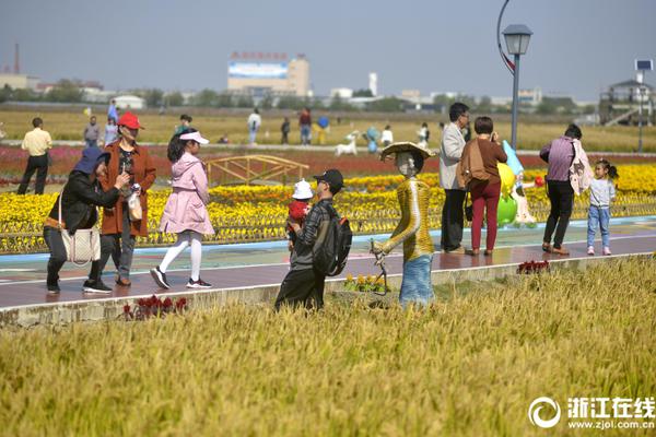 超29万份！两岸标准共通服务平台平稳运行中