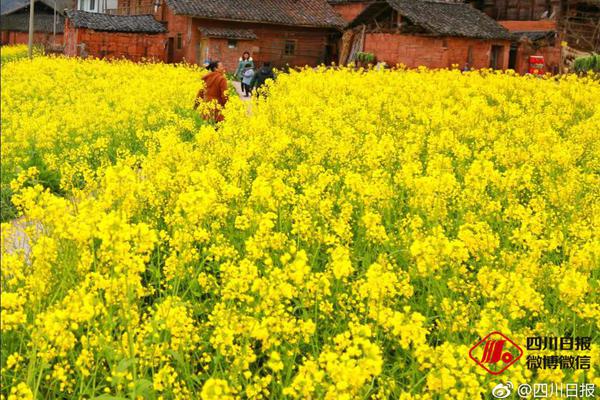 穿成假千金后，她嫁军官随军去完整版小说在线阅读地址 主角江柔周重山