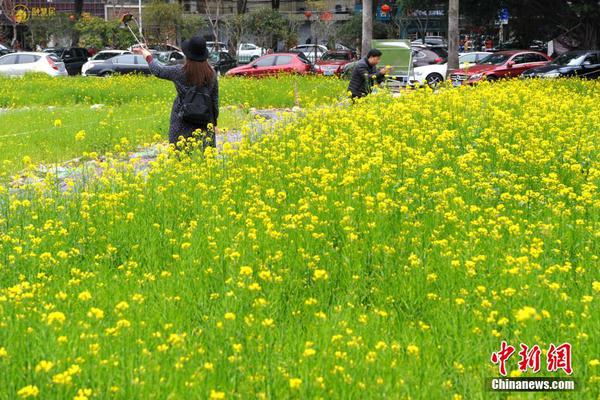 【韩娱看点】他俩没在一起真的太让人遗憾了