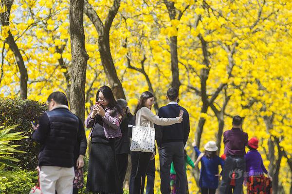 发展绿色金融 建设美丽中国