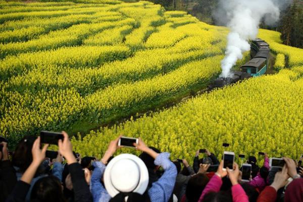 阿夏汪琪最新章节 只要三十五岁以下大结局免费在线阅读