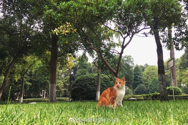 让爱传递更远 业界探索医疗健康公益服务新模式