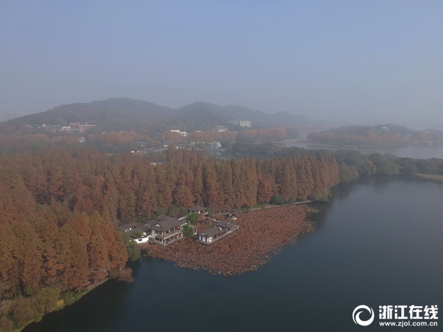 新型电力系统监管升级 助力构建电力行业良性生态