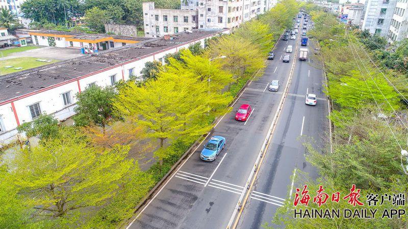 《正发生》斩获威尼斯电影节最佳影片佩内洛普·克鲁兹凭阿莫多瓦封影后