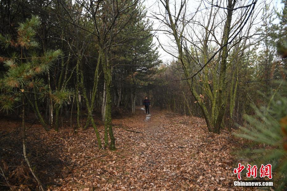 电影《你好李焕英》取景地已开工 谢绝参观