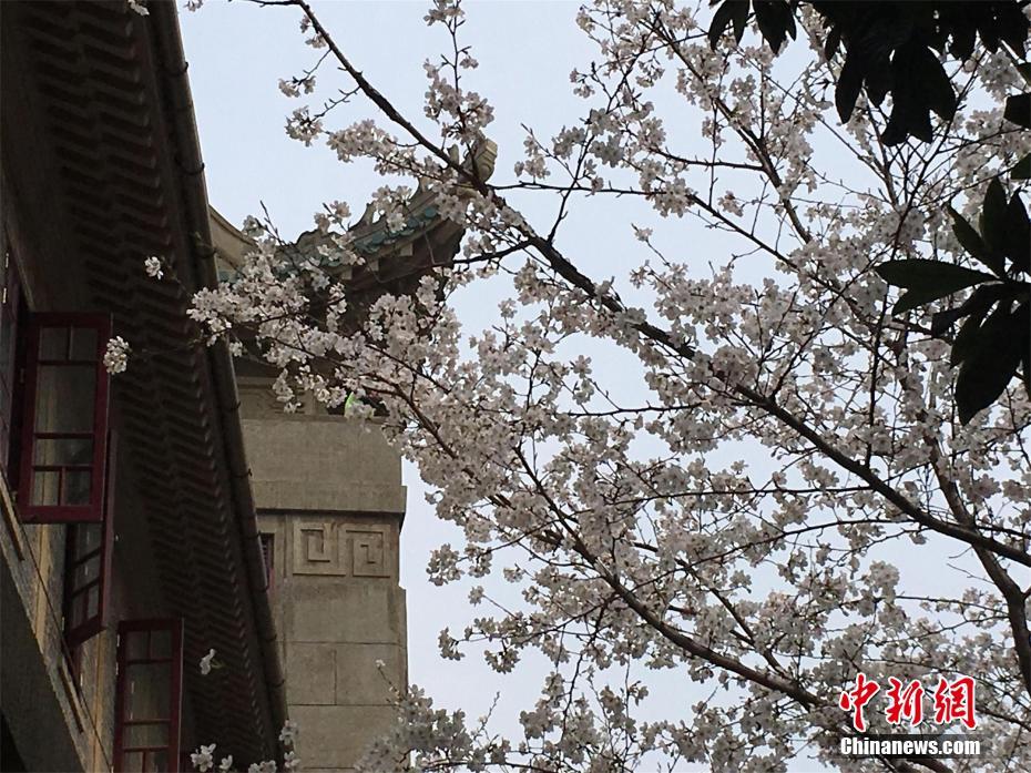 电影《郊区的鸟》展映邓竞饰演工程师蚂蚁坚毅又踟蹰